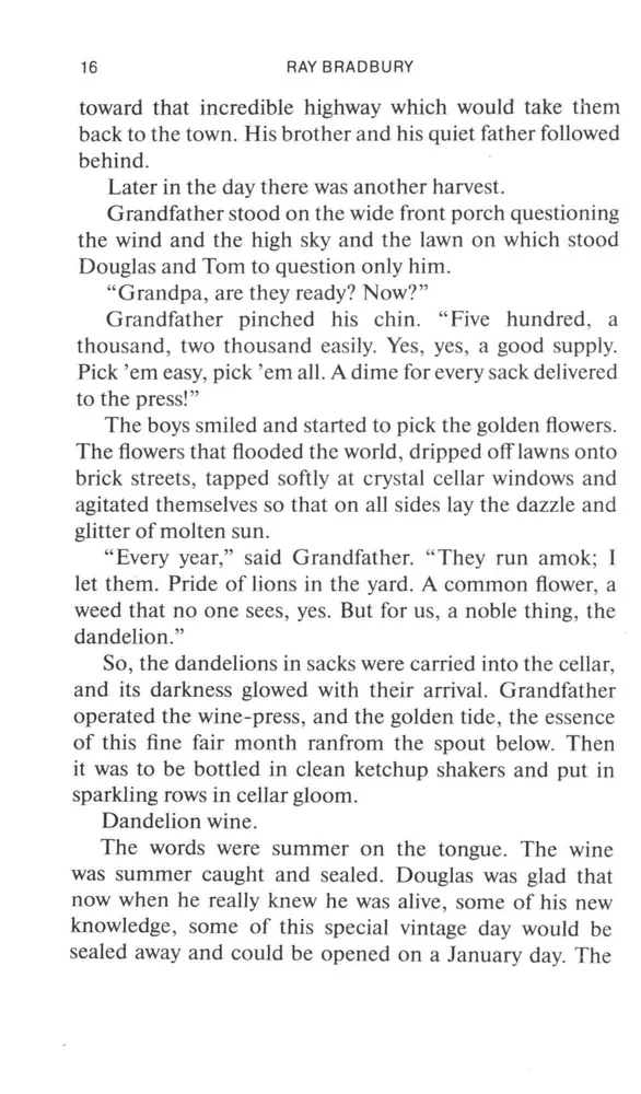 Vīns no pienenēm Dandelion Wine. Grāmata angļu valodā. B1 līmenis