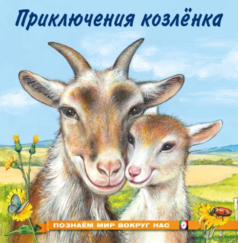 Aitu piedzīvojumi