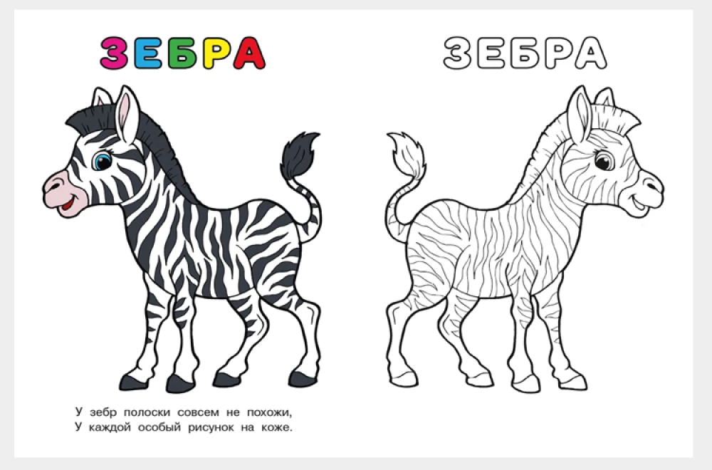 Uzzini un krāso. Zebra