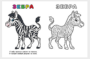 Uzzini un krāso. Zebra