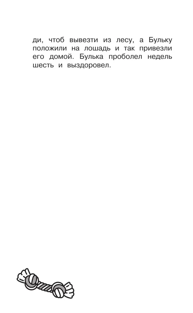 Lielā suņu grāmata