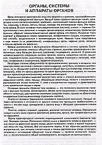 Cilvēka anatomija. Atlants ar QR kodiem uz krāsainām bildēm