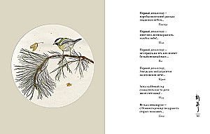Pasaule rasas pilienā. Pavasaris. Vasaras. Haiku visiem laikiem