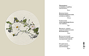 Pasaule rasas pilienā. Pavasaris. Vasaras. Haiku visiem laikiem