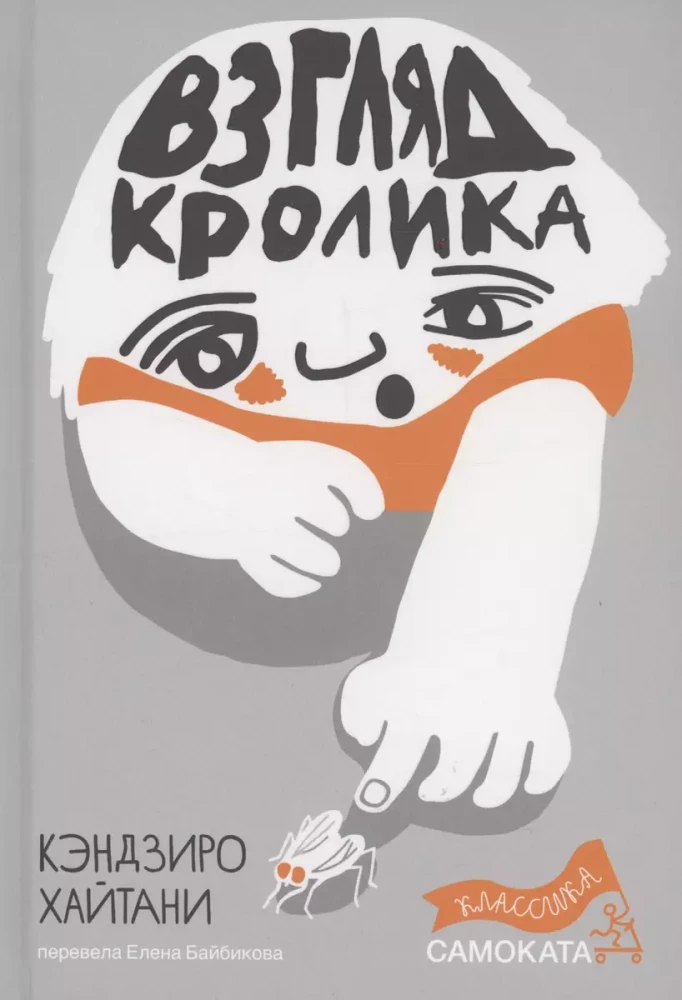 Zaķa skatījums