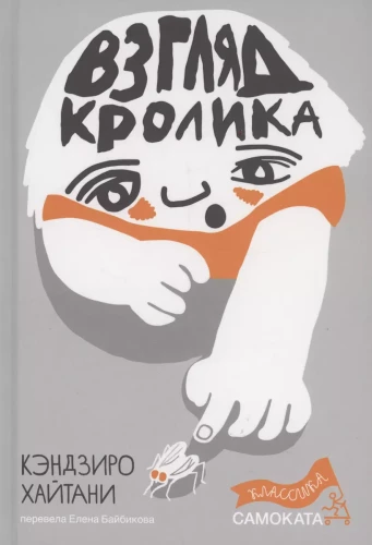 Zaķa skatījums