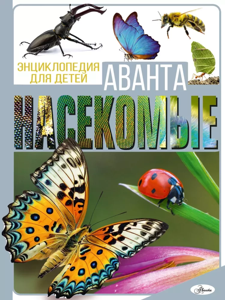 Kukaiņi