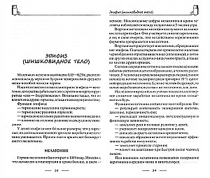 Viss par hormoniem, vai dzīvojam hormonāli. Ideāls svars, vēlme dzīvot, stiprs miegs, veselīga skaistums