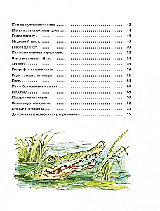 Lielā burvju pasaku grāmata