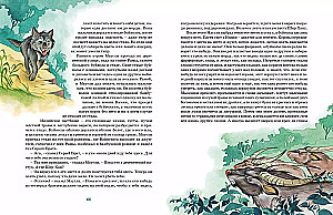 Mauglis un citas pasakas
