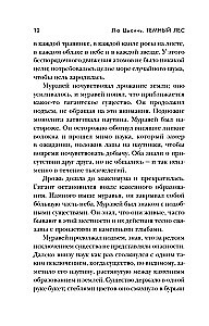 Темный лес