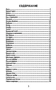 Labākie izklāsti ar gramatikas uzdevumiem krievu valodā. 2. klase