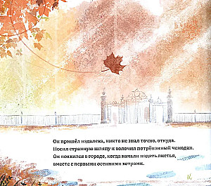 Burvju kaķis