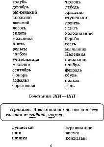 Uzraksti diktātu bez kļūdām! 1-4 klase