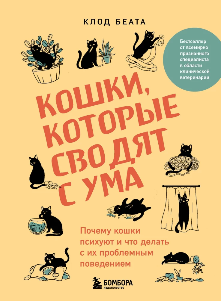 Kaķi, kuri traka. Kāpēc kaķi uzvedas dīvaini un ko darīt ar viņu problēmām uzvedībā