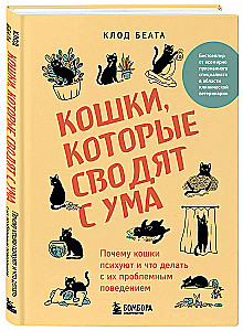 Kaķi, kuri traka. Kāpēc kaķi uzvedas dīvaini un ko darīt ar viņu problēmām uzvedībā