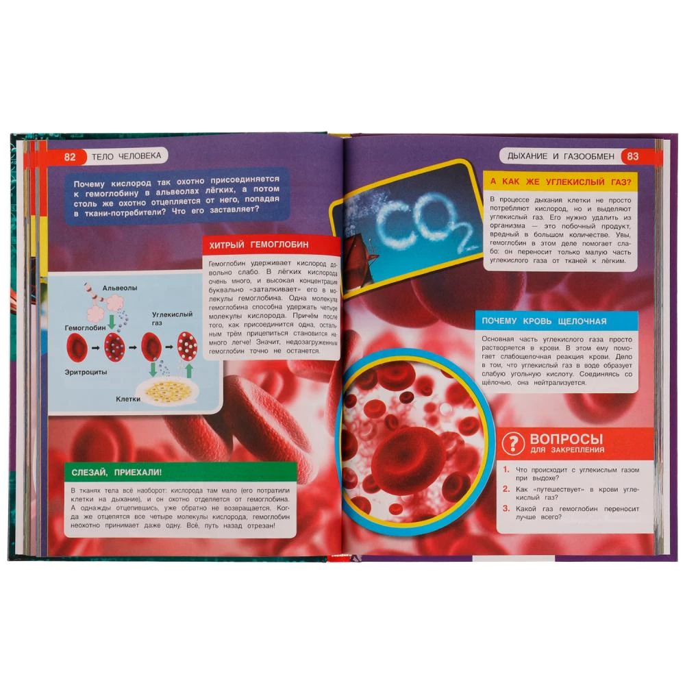 Encyclopēdija. Viss par visu. Cilvēka ķermenis