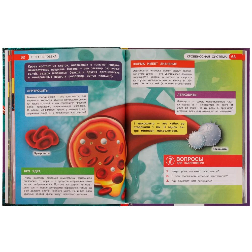 Encyclopēdija. Viss par visu. Cilvēka ķermenis