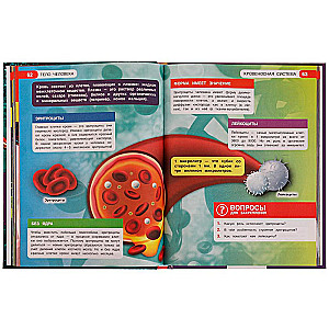 Encyclopēdija. Viss par visu. Cilvēka ķermenis