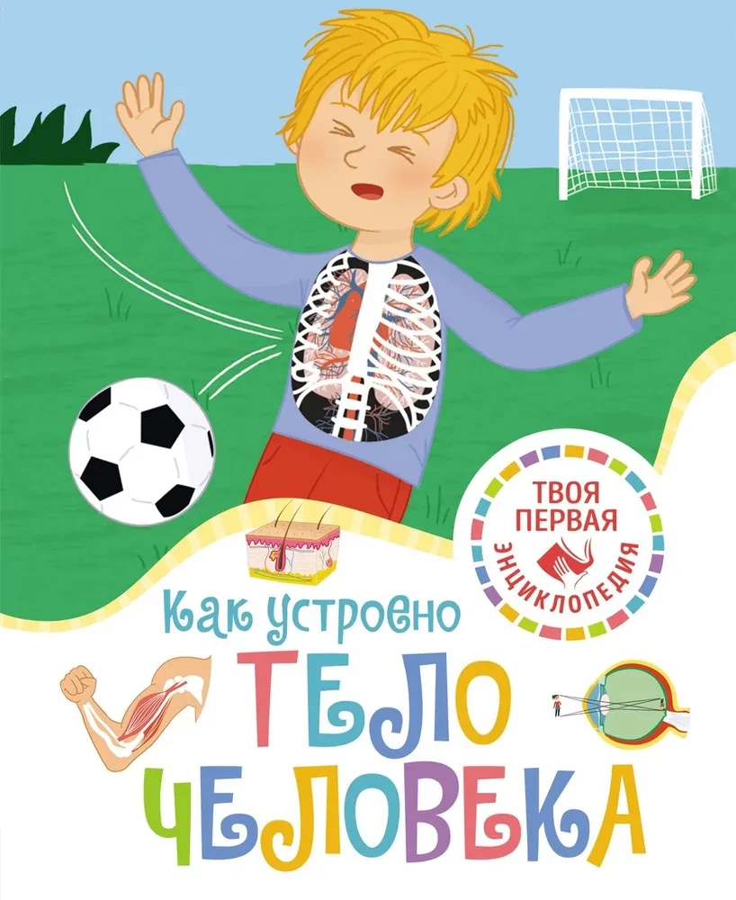 Kā ir uzbūvēts cilvēka ķermenis