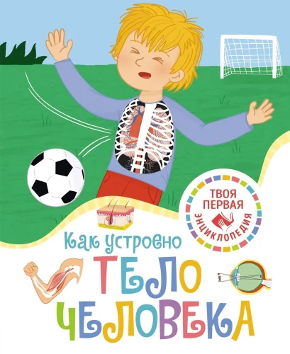 Kā ir uzbūvēts cilvēka ķermenis