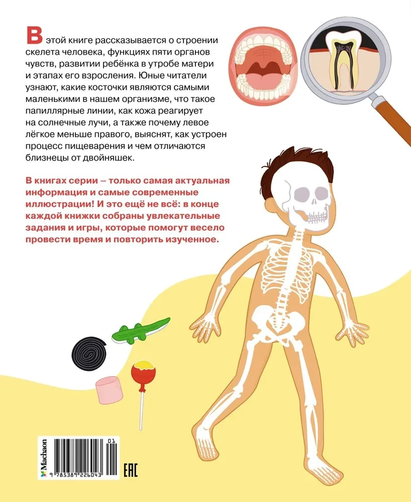 Kā ir uzbūvēts cilvēka ķermenis