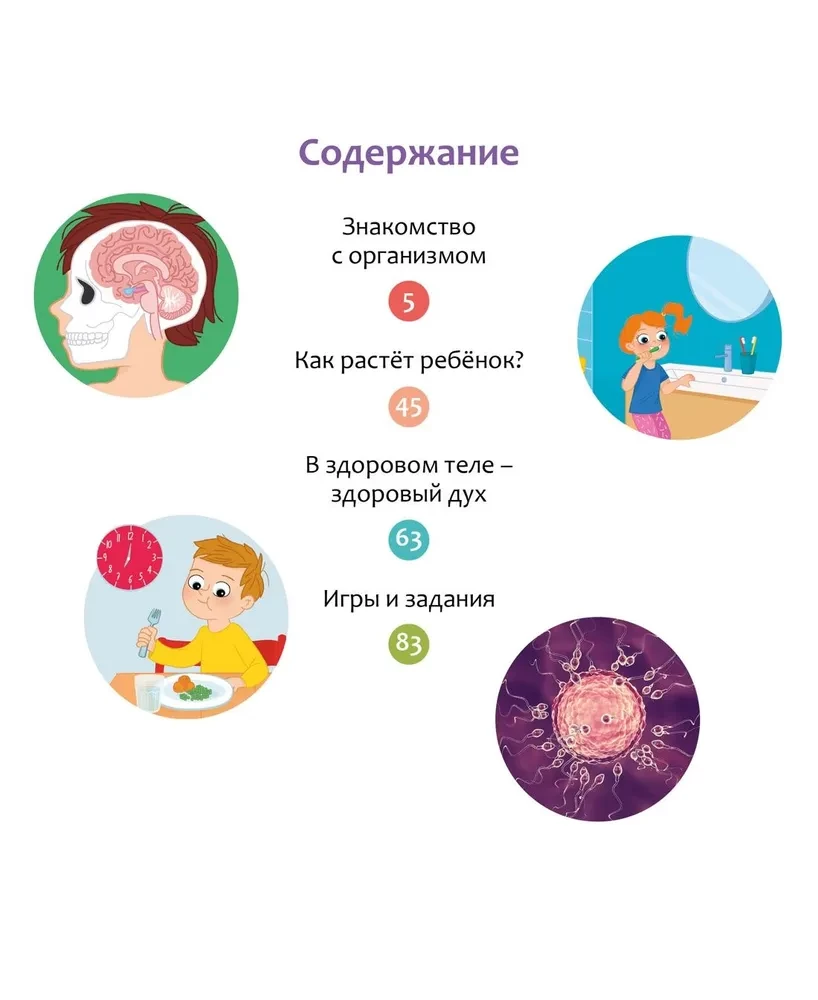 Kā ir uzbūvēts cilvēka ķermenis