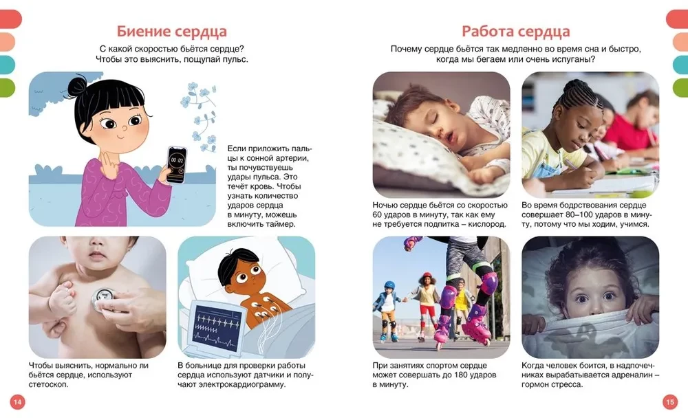 Kā ir uzbūvēts cilvēka ķermenis