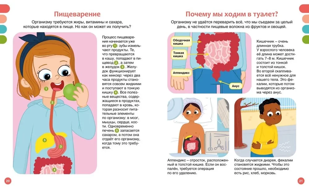 Kā ir uzbūvēts cilvēka ķermenis