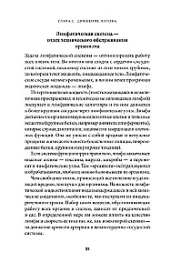 Лимфа и долголетие. Путь к укреплению иммунитета и предупреждению болезней