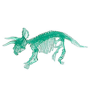 3D puzle kristālisks Triceratops