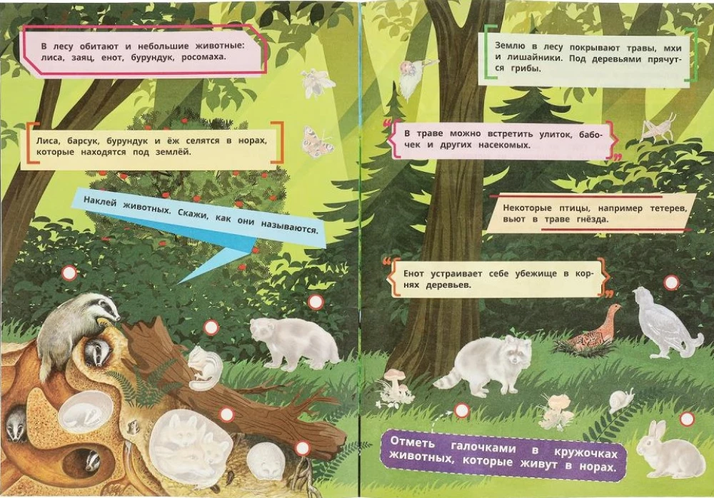 Grāmata ar uzlīmēm un uzdevumiem Mežā