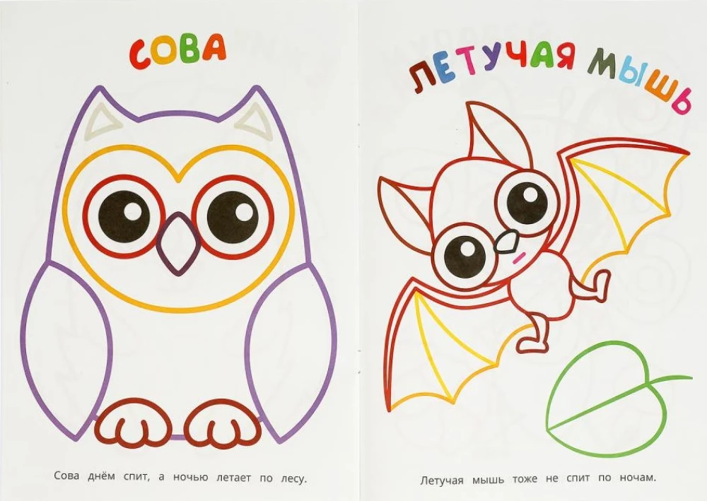 Pirmajā krāsojamā grāmata. Meža dzīvnieki