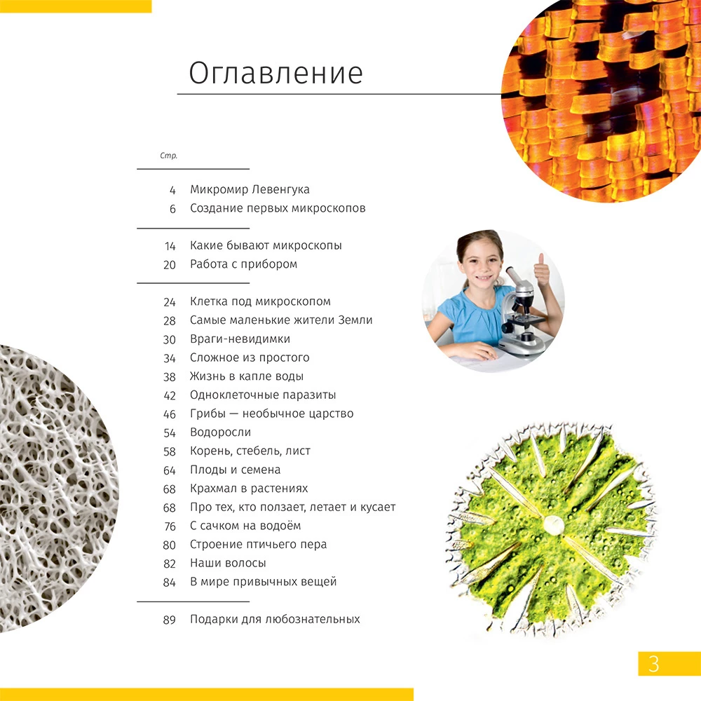Mikroskops Levenhuk Discovery Centi 02 ar grāmatu