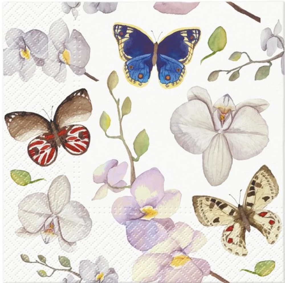 Orchidea Butterfly salvetes, 33x33 cm, 20 gab.