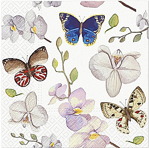Orchidea Butterfly salvetes, 33x33 cm, 20 gab.