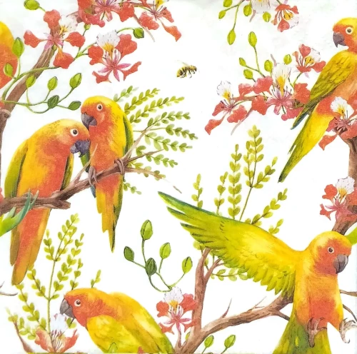 Salvetes "Exotic birds", 33x33 cm, 20 gab.