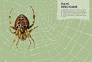 Мастера-строители