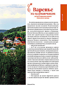 Krievijas virtuve. Tradicionālie krievu pilsētu receptes