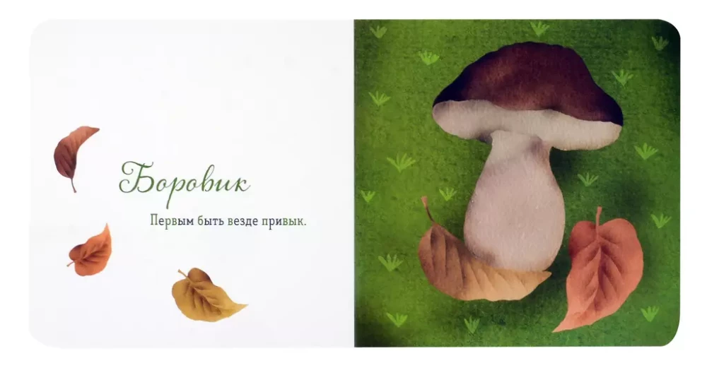 Kur ir tava sēne?