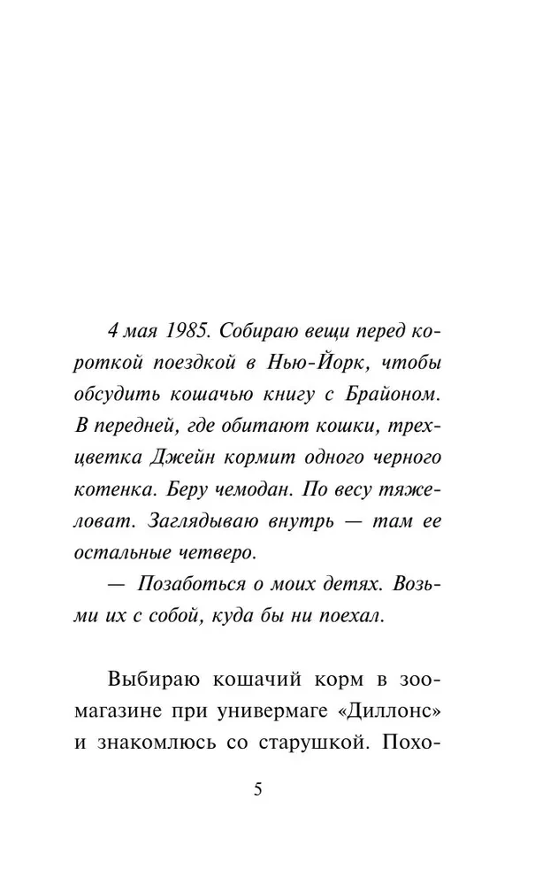 Iekšējais kaķis