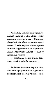 Iekšējais kaķis