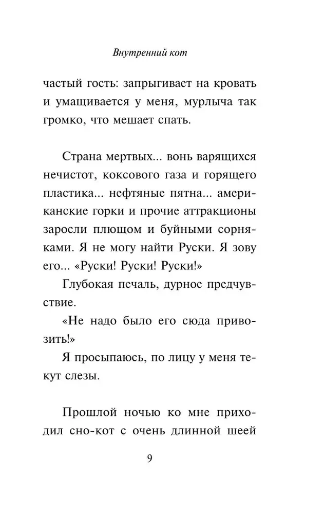 Iekšējais kaķis