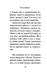 Iekšējais kaķis