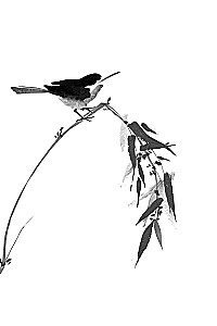 Japānas pasakas. Kalnu ragana, lapsas sieva, Kaguja-hime un zēns, kurš zīmēja kaķus