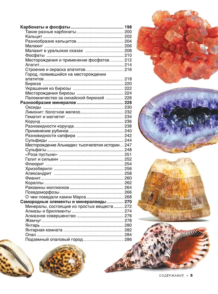 Lielā grāmata par minerāliem un akmeņiem. 1001 fotogrāfija