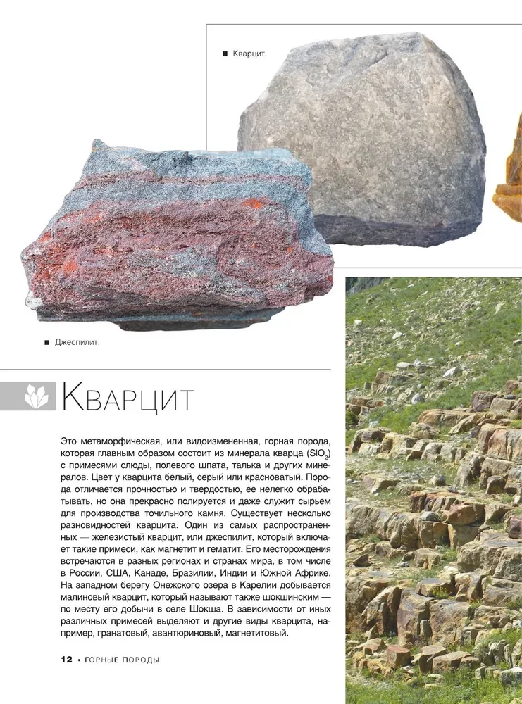 Lielā grāmata par minerāliem un akmeņiem. 1001 fotogrāfija