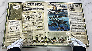 Dinozauri