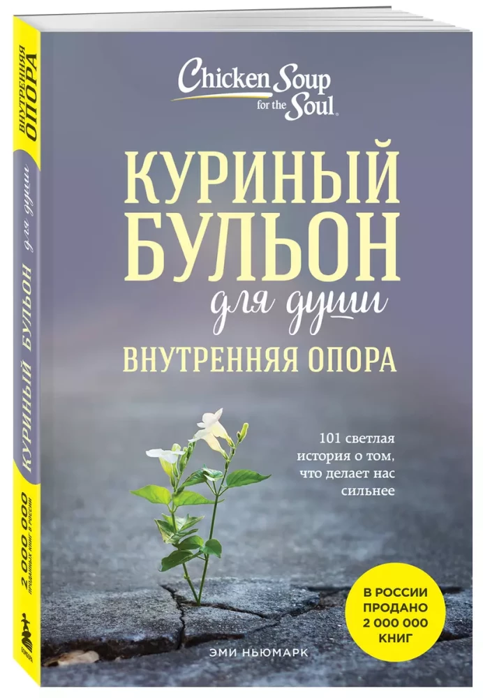 Куриный бульон для души. Внутренняя опора. 101 светлая история о том, что делает нас сильнее