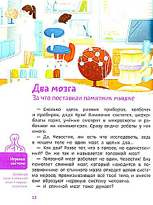 Как устроен мозг. Детская энциклопедия (Чевостик)